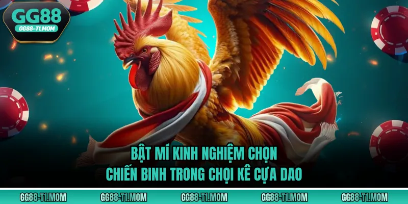 Bật mí kinh nghiệm chọn chiến binh trong chọi kê cựa dao