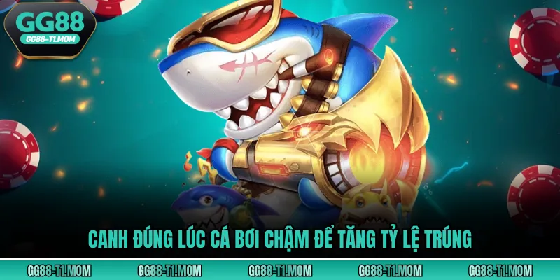 Canh đúng lúc cá bơi chậm để tăng tỷ lệ trúng